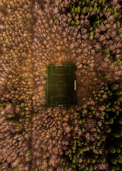 الأهلي ضد النصر مباشرمواجهة نارية في الدوري السعودي