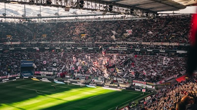موعد مباراة الريال في دوري أبطال أوروباكل ما تحتاج معرفته